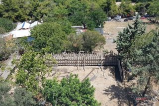 Κόβει κι άλλα δέντρα για κοντέινερ