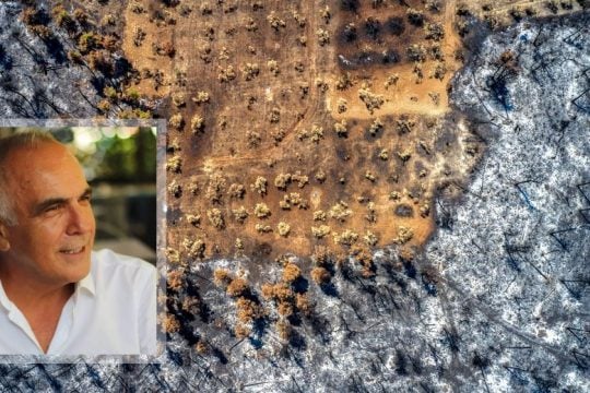 Ενεργητική προστασία των δασών από τις πυρκαγιές