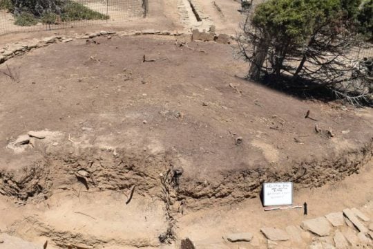 Ανασκαφική έρευνα 2021 στο Δεσποτικό, στη θέση Μάντρα και αναστηλωτικές εργασίες στον ναό του Απόλλωνα