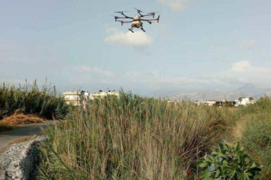Κρήτη: Τα drone επιστρατεύονται για την καταπολέμηση του δάκου