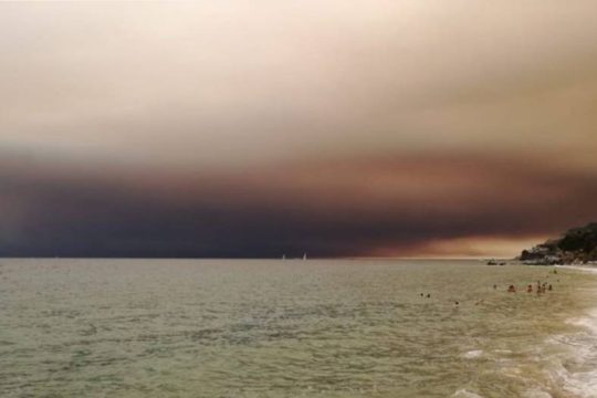 Και μετά τις καταστροφικές πυρκαγιές τι;