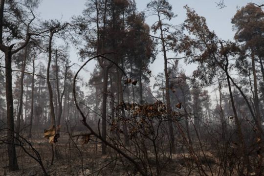 ΚΚΕ και ΜέΡΑ25 προειδοποιούν κατά των «πράσινων» σχεδίων της κυβέρνησης