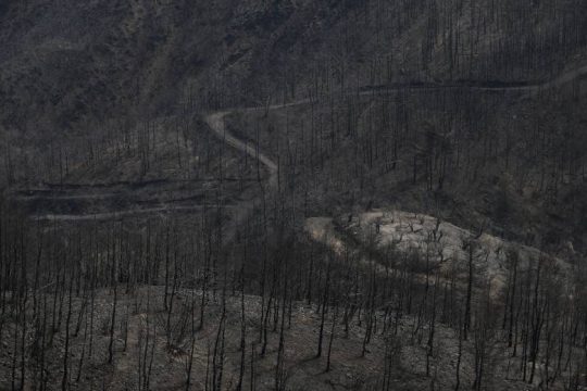 «Το αίτημα της ελληνικής κυβέρνησης για βοήθεια έφτασε πολύ αργά»
