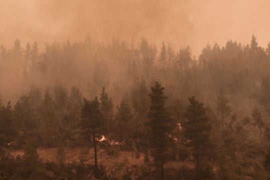 «Οργανωμένο σχέδιο» εμπρηστών βλέπει ο Άρειος Πάγος