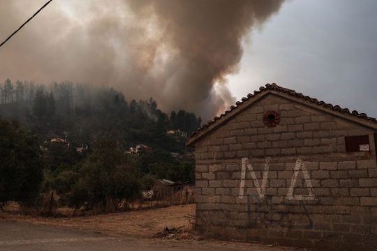 Διαδήλωση στο Σύνταγμα: Ζητούν άμεσα μέτρα για προστασία πυρόπληκτων και φύσης