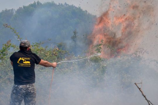 Σε διαθεσιμότητα υψηλόβαθμο στέλεχος της ΕΛ.ΑΣ. για τη φωτιά στη Γορτυνία