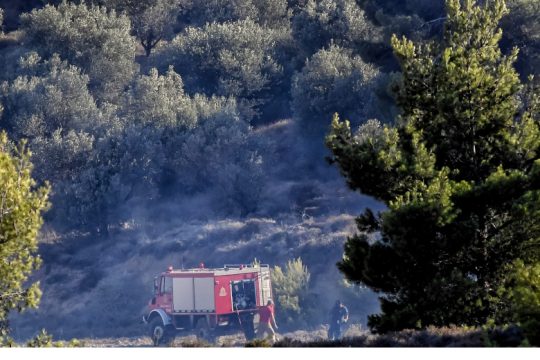 Στον εισαγγελέα 14χρονος για τις φωτιές στο Θεολόγο Φθιώτιδας