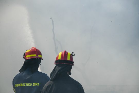 Πύρινα μέτωπα σε Εύβοια, Μάνδρα, Λακωνία και Χαλκιδική