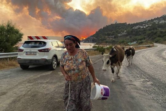 Εισαγγελείς ερευνούν εάν το #HelpTurkey δημιουργεί «πανικό και ταπεινώνει την κυβέρνηση»