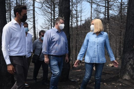 «Να μην είναι η “Μαξίμου ΑΕ” ο διαχειριστής της ανασυγκρότησης στην Εύβοια»