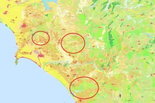 Αλλαγή χρήσης γης καμένων εκτάσεων