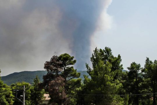 Ιπποκράτειος Πολιτεία – Κατσιμίδι – Αφίδνες: Πριν και μετά