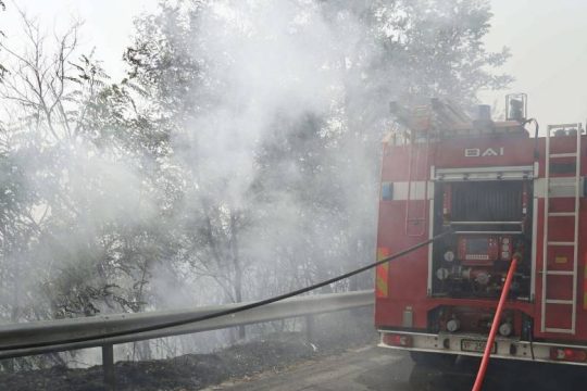 «Μάχη» με πάνω από 500 πυρκαγιές στην Ιταλία