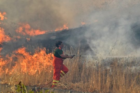 Πέμπτος νεκρός στην Ιταλία από τις πυρκαγιές – στο «κόκκινο» το θερμόμετρο