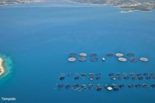 Παραδίδουν τις ακτές της Αιτωλοακαρνανίας στις ιχθυοκαλλιέργειες