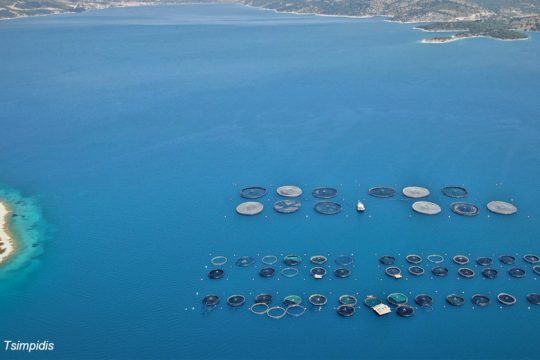 Παραδίδουν τις ακτές της Αιτωλοακαρνανίας στις ιχθυοκαλλιέργειες