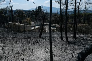 Καμένη γη