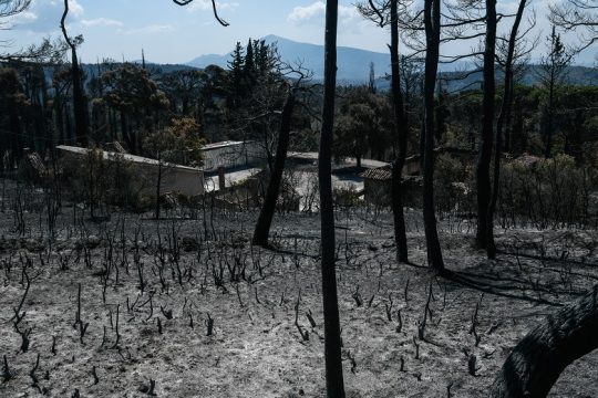 Αντιμέτωπη με ποινικές ευθύνες η δικηγόρος που «προσευχόταν» να καεί η Εκάλη