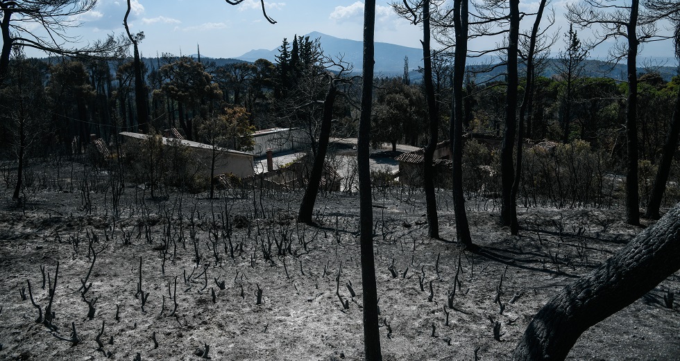 Αντιμέτωπη με ποινικές ευθύνες η δικηγόρος που «προσευχόταν» να καεί η Εκάλη