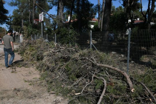 Ολιγωρίες, καθυστερήσεις και ελλείψεις σχεδιασμού