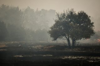 Ο κ. Δαδούδης αυτοσυγχαίρεται