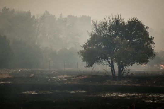 Ο κ. Δαδούδης αυτοσυγχαίρεται