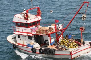 Συνεχείς ενοχλήσεις τουρκικών αλιευτικών στο Αιγαίο