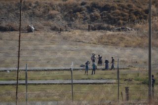 Γραφειοκρατία κατά ζώντων και νεκρών