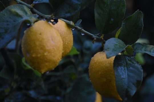 Σποραδικές καταιγίδες στα δυτικά, σκόνη στην ατμόσφαιρα