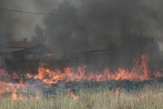 Κακουργηματική δίωξη για εμπρησμό στο Κρυονέρι