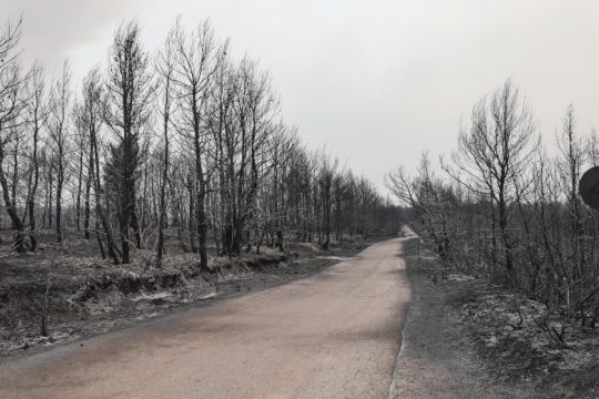 Σημαντική πρωτοβουλία