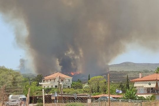 Μεγάλη αναζωπύρωση στο μέτωπο στη Μεσσηνία – Απειλούνται σπίτια