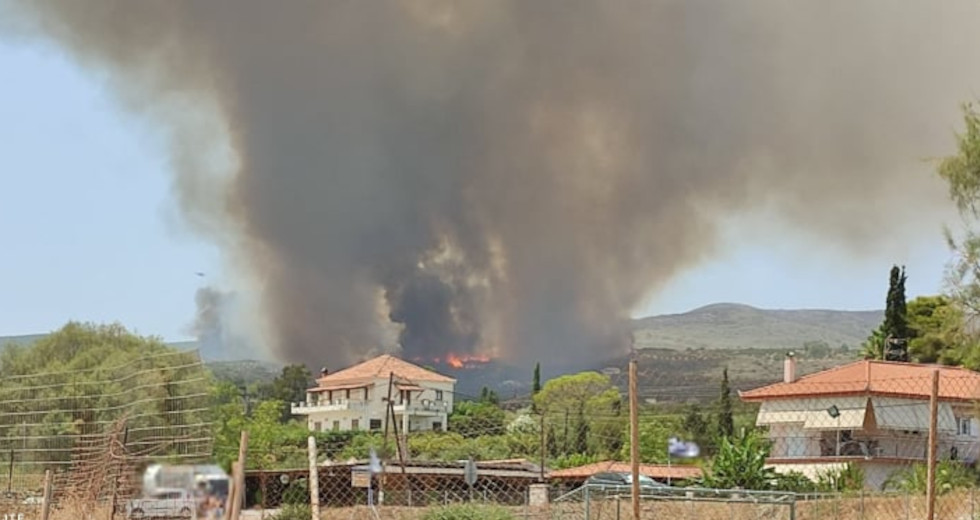Μεγάλη αναζωπύρωση στο μέτωπο στη Μεσσηνία – Απειλούνται σπίτια