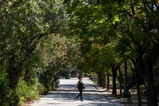 Καταγγελία κατοίκων: Ετοιμάζουν έκθεση αυτοκινήτων με test drive στο Πεδίον του Άρεως