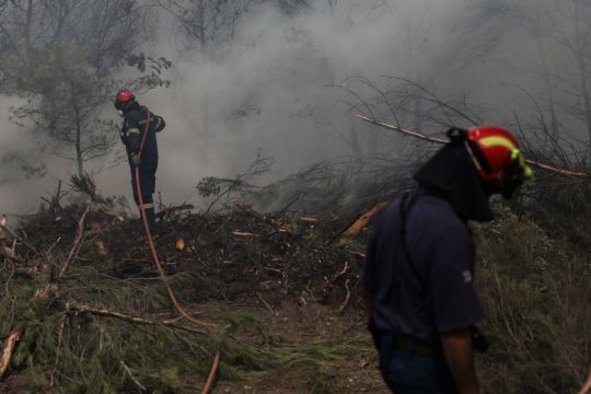 Πυρκαγιές: Να συνηθίσουμε να ζούμε με τους… αγώνες