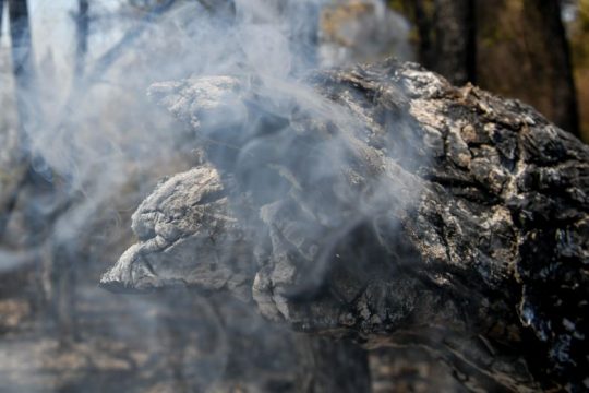 Φωτιά ξέσπασε τα ξημερώματα στο Δασκαλειό