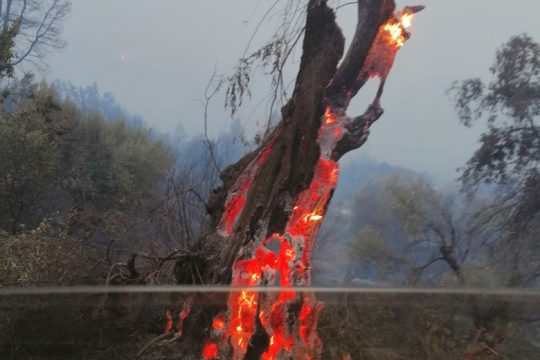 Κλαίω για τη ζωή που χάθηκε