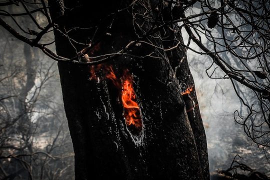 Μάχη με τις φλόγες στα Βίλια για ακόμη ένα βράδυ