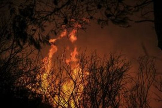 Παρασκευή 13/8: Υψηλός κίνδυνος πυρκαγιάς σε Αττική, Εύβοια, Λακωνία και Β.Αιγαίο