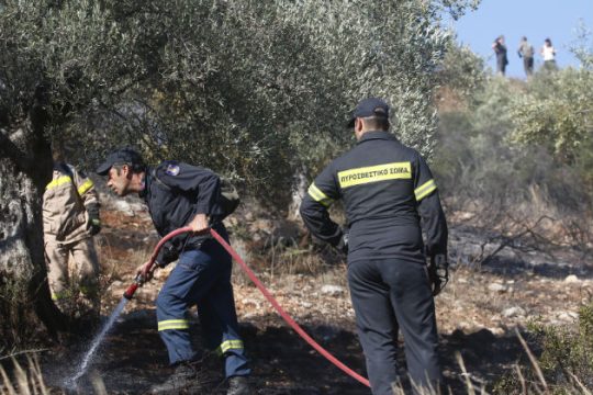 Φαρμακευτικά είδη στην Πυροσβεστική προσέφεραν οι φαρμακοποιοί των Χανίων