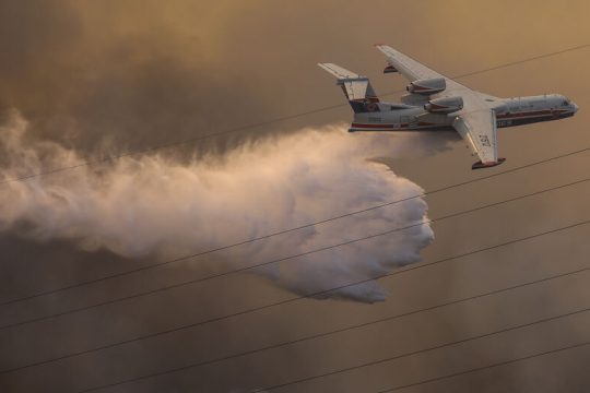 Δασολόγοι: Επιεικώς ανεπαρκής ο Ν. Χαρδαλιάς