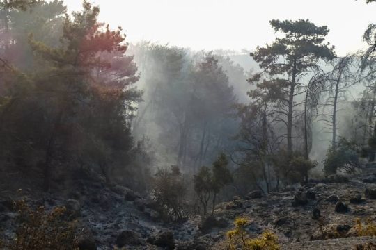Σε ύφεση η φωτιά στη Ρόδο, σε κατάσταση έκτακτης ανάγκης πληγείσες περιοχές