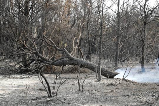 Τουλάχιστον 60.000 στρέμματα κάηκαν μέσα σε τέσσερις ημέρες