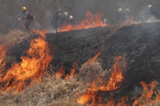 Στάχτη 1,5 εκατ. στρέμματα από πυρκαγιές στη Βολιβία φέτος
