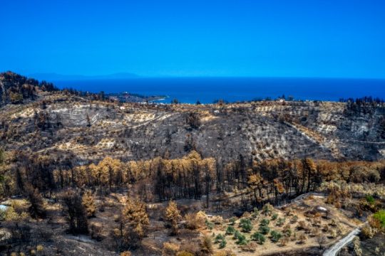 Στη Βουλή οι ΠΝΠ του υπ. Περιβάλλοντος για παρεμβάσεις στις πυρόπληκτες περιοχές