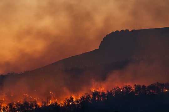 Πολιτικό έγκλημα και όχι φυσικό φαινόμενο η κλιματική αλλαγή