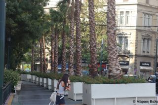 Εκτός ΑΕΙ οι «ζαρντινιέρες»