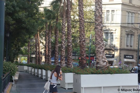 Εκτός ΑΕΙ οι «ζαρντινιέρες»
