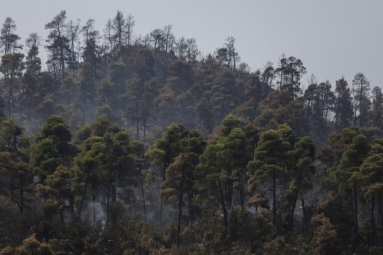 Ομορφο ερώτημα, όμορφη απάντηση