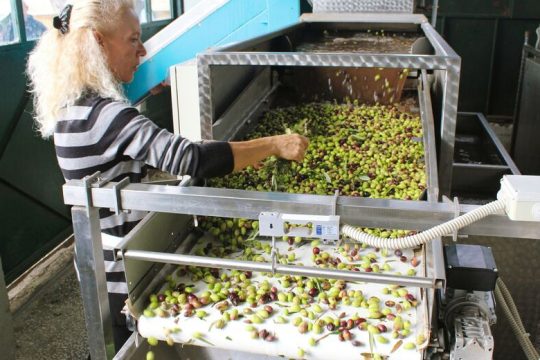 Σε ιστορικό υψηλό η μεταποίηση στην Ελλάδα